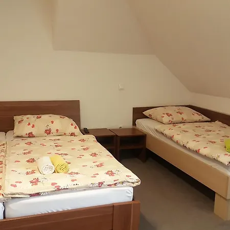 Hotel Hotel&hostel Marenberg Radlje Radlje ob Dravi
