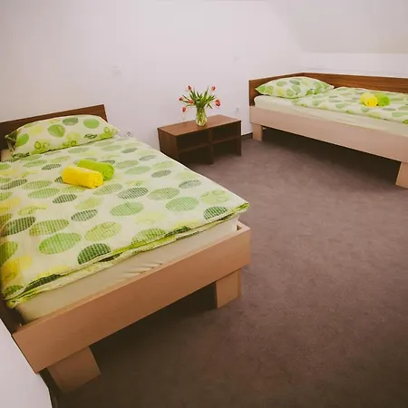 Hotel Hotel&hostel Marenberg Radlje Radlje ob Dravi