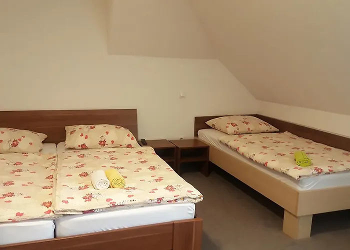 Hotel & Marenberg Radlje Radlje ob Dravi